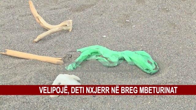 VELIPOJË, DETI NXJERR NË BREG MBETURINAT