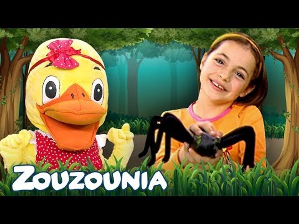 Η Μικρή Αράχνη & άλλα τραγούδια με τα Ζουζούνια | Συλλογή | 30 Λεπτά