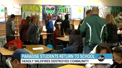 FDA Announces Massive Dry Dog Food Recall