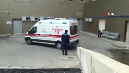 Deniz Patlıcanı Avcılığı Yaparken Vurgun Yiyerek Öldü