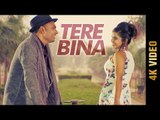 TERE BINA (Full Video) | RAJ | Latest Punjabi Songs 2017 | AMAR AUDIO