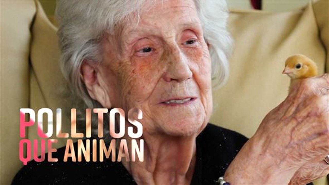 Aliviando la soledad de ancianos con... amor de pollo