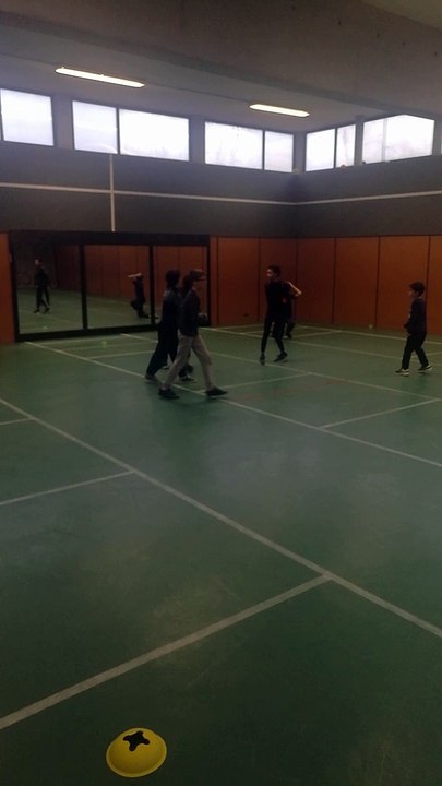 EDV AU GYMNASE