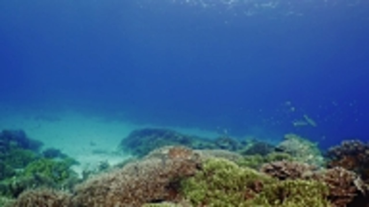 Les sept merveilles de la nature