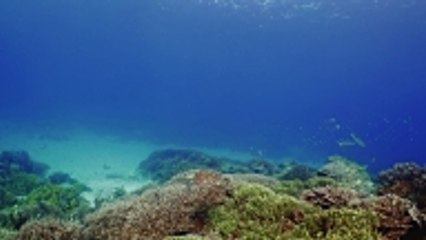 Les sept merveilles de la nature