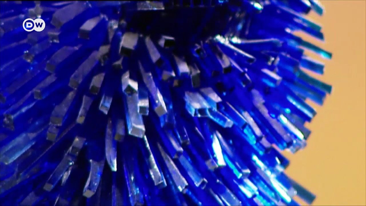 Der Hund als Kunstobjekt | Euromaxx