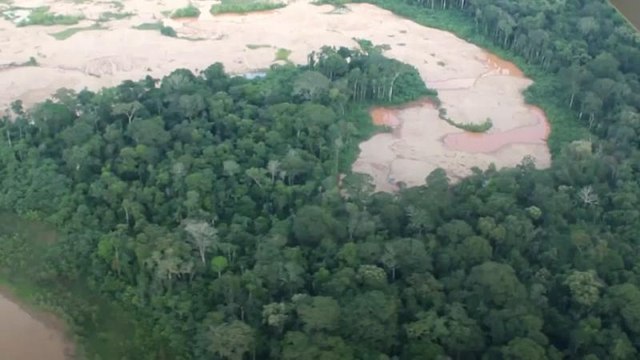 Churches combine for campaign to save Peruvian rainforest