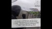 Un CRS a filmé les violents affrontements avec les «gilets jaunes» à l'Arc de Triomphe