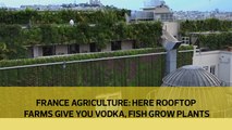 France Agriculture: Here rooftop farms give you vodka, fish grow plants