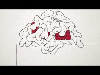 66 joueurs ont gagné plus de 100 000 € sur PokerStars