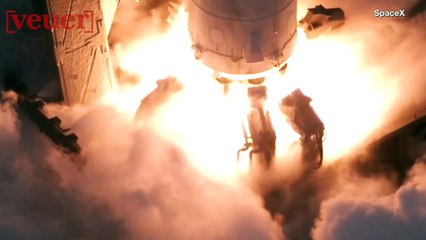 SpaceX Launch Halted Because of Moldy Mouse Food