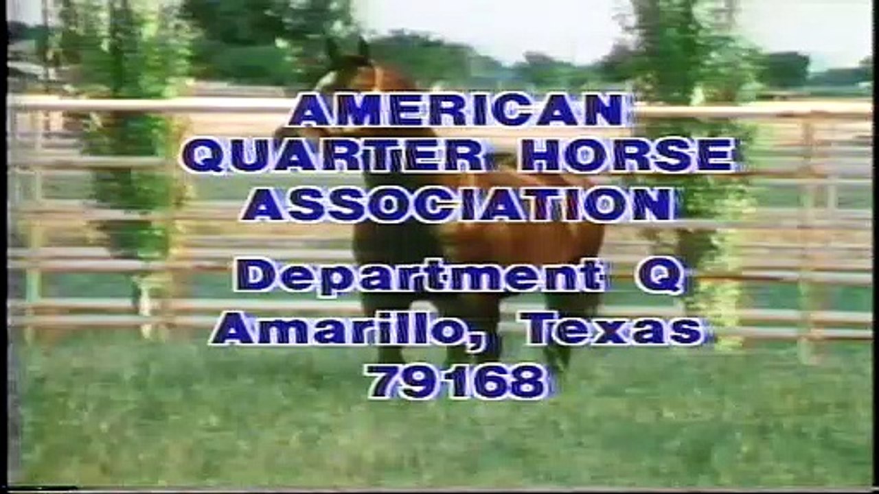 Rodeo Super Stars  Pt 2