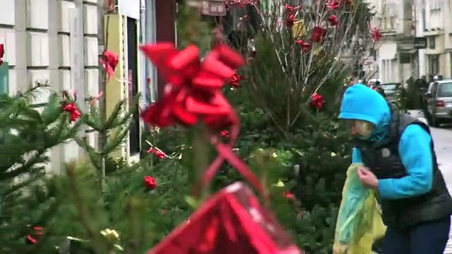Sapins verts et cadeaux rouges rue du Temple à Auxerre