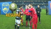 FC Sochaux-Montbéliard - Gazélec FC Ajaccio (2-0)  - Résumé - (FCSM-GFCA) / 2018-19