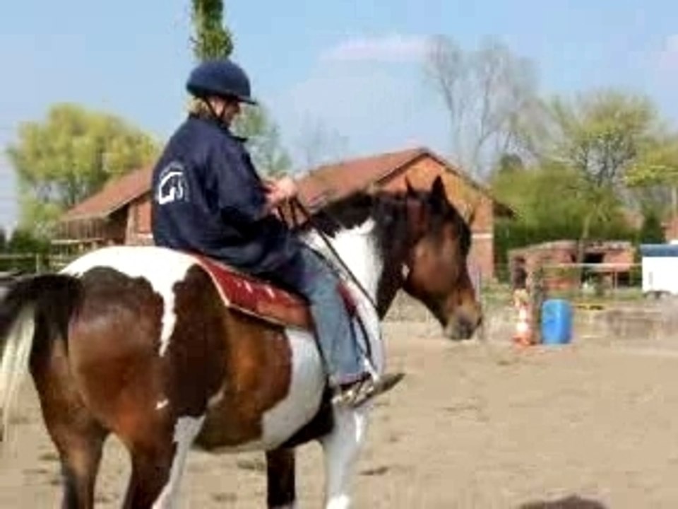 cheval au travail sans mors