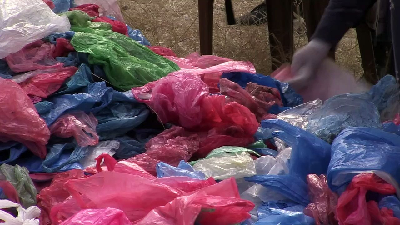 Um segundo Mar Morto