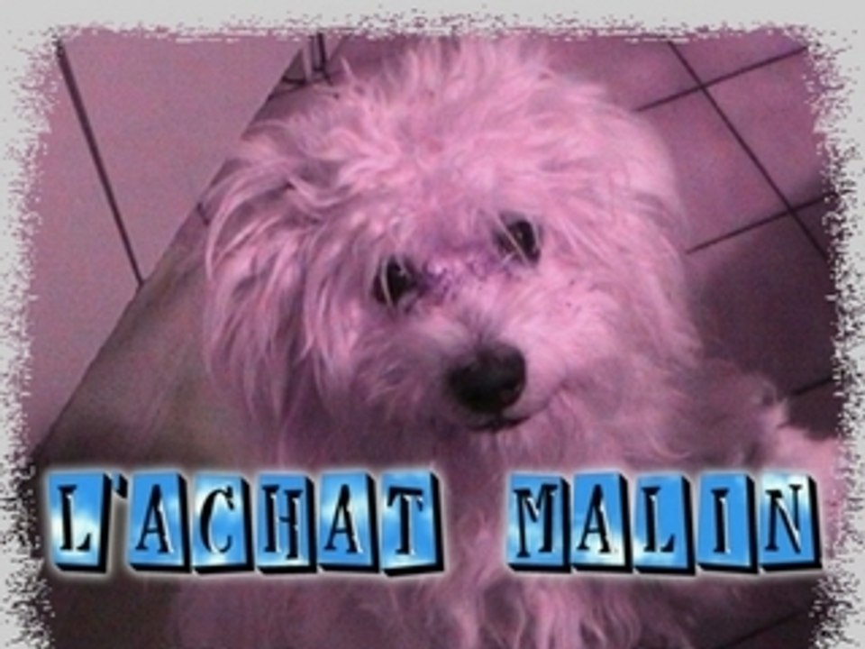 L' Achat Malin
