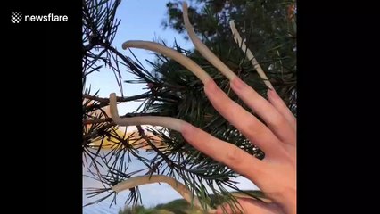 How to put on your jeans when you have the longest nails in Russia