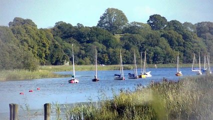 A vendre - Maison - MONTAUBAN (82000) - 4 pièces - 84m²