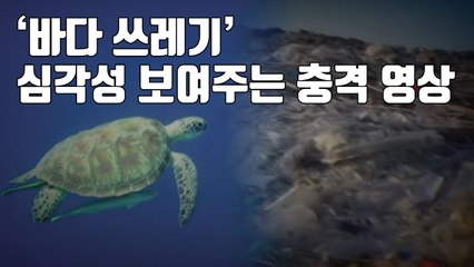 [자막뉴스] '바다 쓰레기' 심각성 보여주는 충격 영상 / YTN
