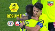 Montpellier Hérault SC - LOSC (0-1)  - Résumé - (MHSC-LOSC) / 2018-19