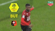 But Jordan SIEBATCHEU (43ème) / Olympique Lyonnais - Stade Rennais FC - (0-2) - (OL-SRFC) / 2018-19