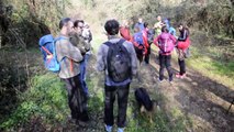 SAB.27-1-18- TRAVERSATA DA MAENZA A CARPINETO SULLA VIA FRANCIGENA DEL SUD SUI MONTI LEPINI.