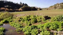 DOM.4-2-18: ESCURSIONE ALLA NECROPOLI DI CASTEL D'ASSO E CASTEL CARDINALE NELLA TUSCIA VITERBESE.