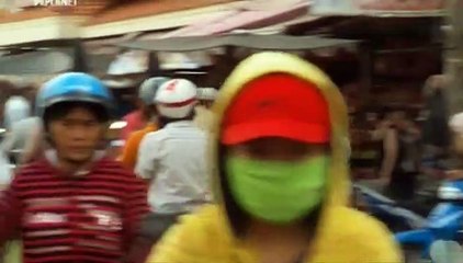 Wild Things With Dominic Monaghan S01E01 - Giant Water Bug Vietnam HDTV