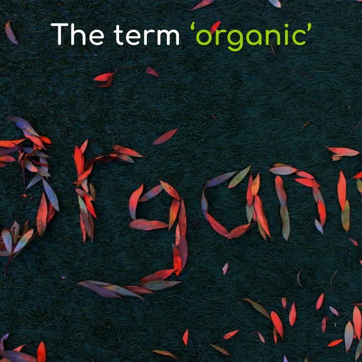 Are "Organic" Strawberries Really Organic?