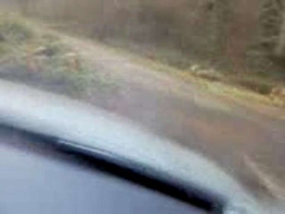 A4 RALLY