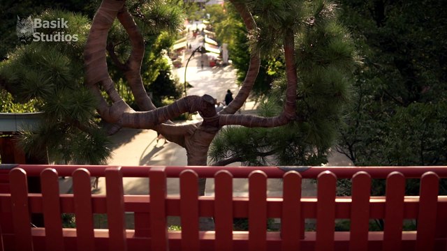 Ueno in 4K | Tokyo, Japan
