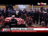 Kesedihan Sully, Anjing Penjaga George HW Bush