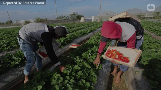 Food Price Increase For French Farmers Delayed