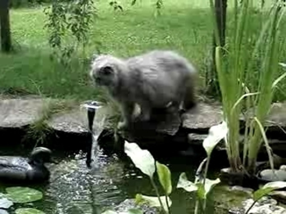 MOV07730 olga  au bassin