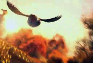 릴게임야마토, 종합릴게임사이트주소 ヤфヤ VFV7 쩜 콤 ヤфヤ 릴게임종류