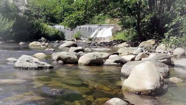 A vendre - Chateau - Les mages (30960) - 12 pièces - 500m²