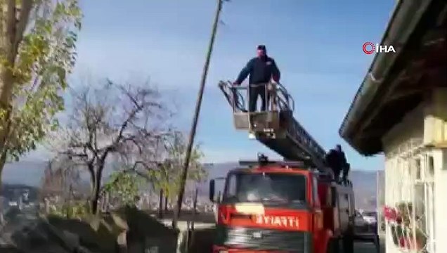 Ağacın dalları arasında sıkışan güvercin için seferber oldular