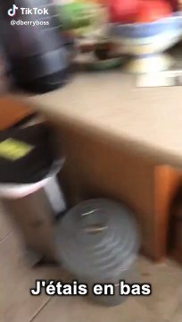 Si tu es ici pour me tuer, frappe dans tes mains