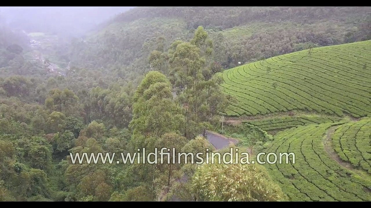 Clear day to sharp drizzle- weather changes within seconds in Nilgiris
