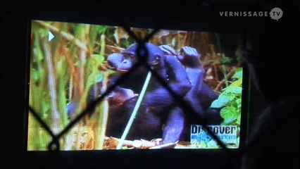 VTV Classics (r3): Banksy: The Village Pet Store and Charcoal Grill (2008)