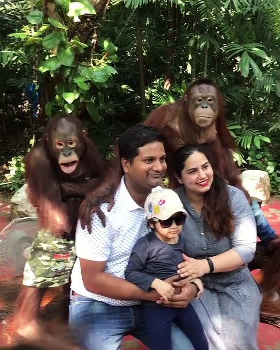 Monkey smiling and posing for photo