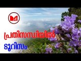 Neelakurinji | നീലക്കുറിഞ്ഞി കാണാൻ മൂന്നാറിൽ ഇതുവരെ എത്തിയത് ഒരു ലക്ഷം പേർ മാത്രം