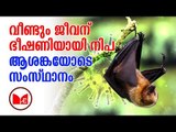 Nipa Virus | നിപ വൈറസിനെതിരെ വീണ്ടും ആരോഗ്യവകുപ്പിന്റെ  ജാഗ്രതാ നിര്‍ദേശം