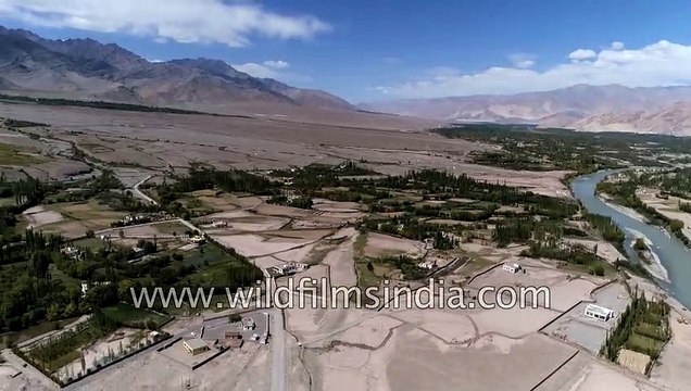 Ladakh aerial view of Stakna monastery and Indus river