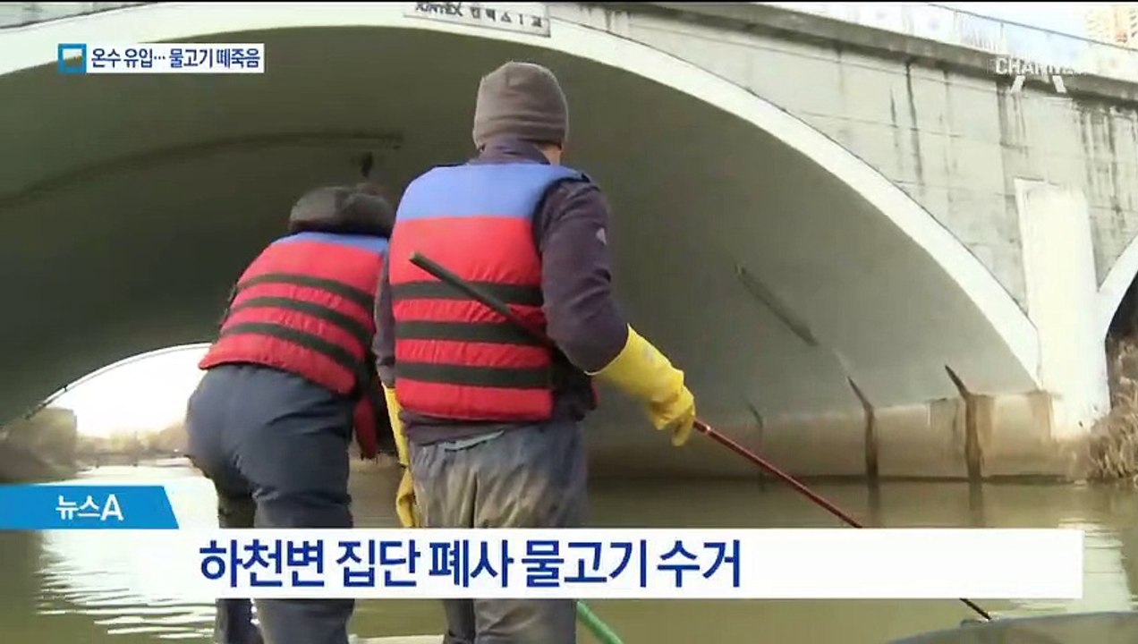 백석역 온수관 뜨거운 물에…인근 물고기 떼죽음