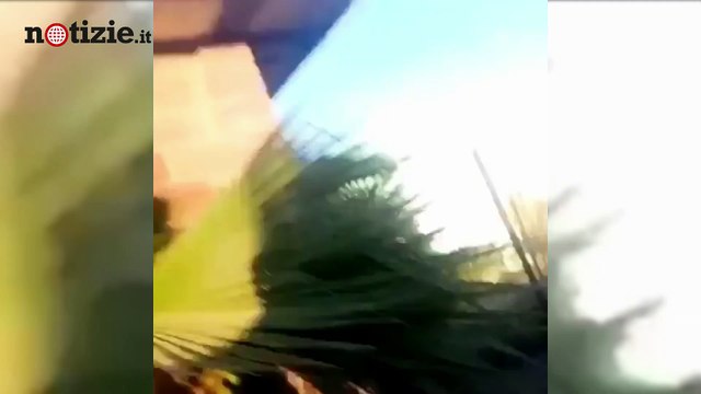 Messico, aereo precipita sulle case: quattro morti nel terribile incidente | Notizie.it