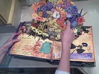 How to Find Flower Fairies