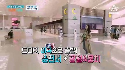 [예고] 아이들에겐 천국!!♡ 윤진서와 반려견 팔월, 뭉치의 첫 행선지는 미국 샌프란시스코!