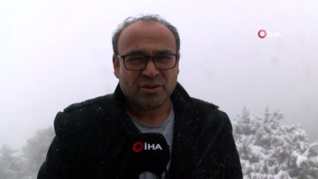 Denizli'de kar yağışı etkili oluyor... Kar yağışından en çok sokak hayvanları etkilendi